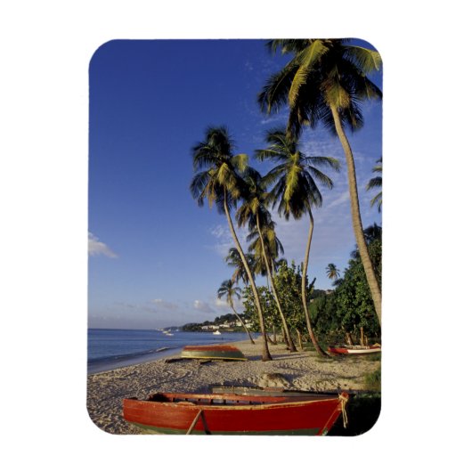 KARIBIK, Grenada, St. George, Boote auf Palmen Magnet (Vertikal)
