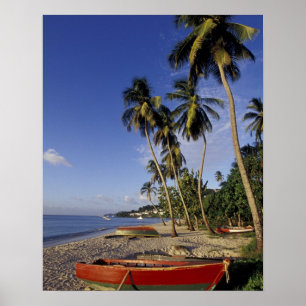 KARIBIK, Grenada, St. George, Boote auf Palmen Poster