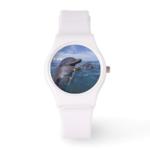 Karibik, Großer Tümmler Armbanduhr