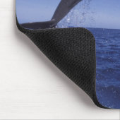 Karibik, Großer Tümmler Mousepad (Ecke)