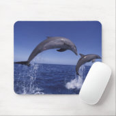 Karibik, Großer Tümmler Mousepad (Mit Mouse)