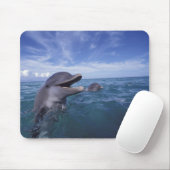 Karibik, Großer Tümmler Mousepad (Mit Mouse)