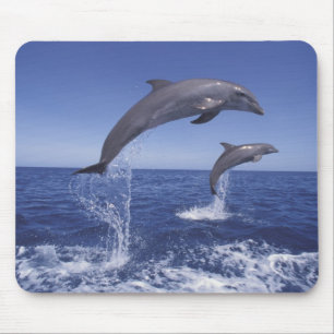 Karibik, Großer Tümmler Mousepad