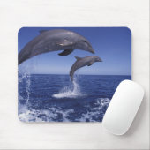 Karibik, Großer Tümmler Mousepad (Mit Mouse)