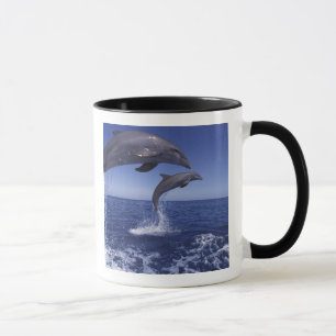 Karibik, Großer Tümmler Tasse
