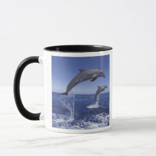 Karibik, Großer Tümmler Tasse