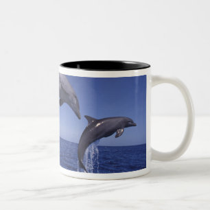 Karibik, Großer Tümmler Zweifarbige Tasse