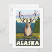 Karibik im Wild-Denali-Nationalpark, Postkarte (Vorne/Hinten)