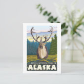 Karibik im Wild-Denali-Nationalpark, Postkarte (Stehend Vorderseite)