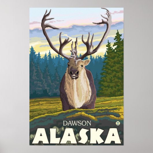 Karibik im Wilden - Dawson, Alaska Poster (Vorne)