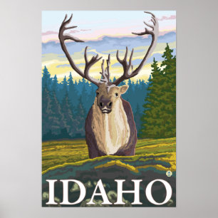 Karibik im Wilden - Idaho Poster