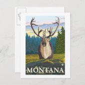 Karibik im Wilden - Montana Postkarte (Vorne/Hinten)