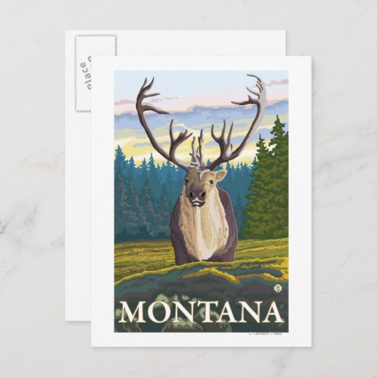 Karibik im Wilden - Montana Postkarte (Vorne/Hinten)