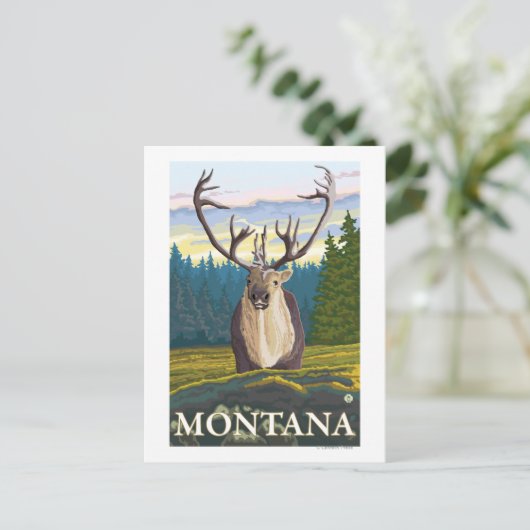 Karibik im Wilden - Montana Postkarte (Stehend Vorderseite)