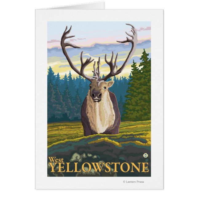 Karibik im Wilden Westen Gelbstein, MT (Vorne)