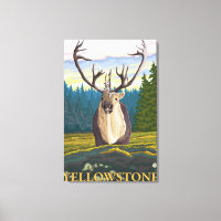 Karibik im Wilden - Yellowstone National