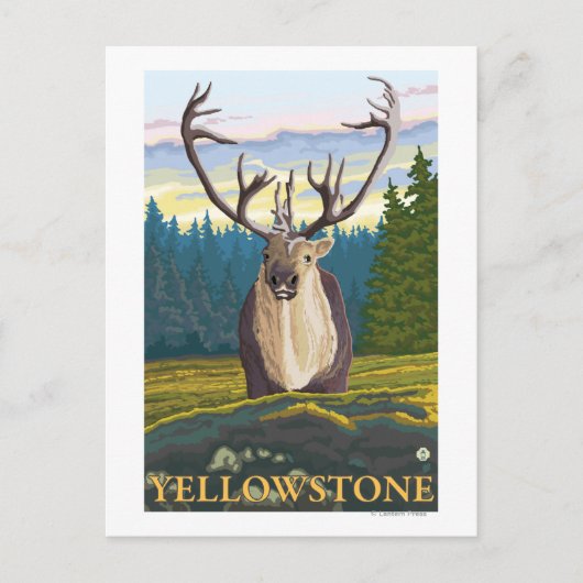 Karibik im Wilden - Yellowstone National Postkarte (Vorderseite)