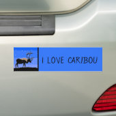 Karibik im Winter - Original Wildlife Art Autoaufkleber (Auf Auto)
