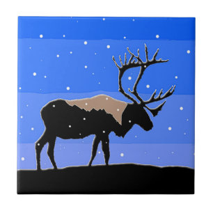 Karibik im Winter - Original Wildlife Art Fliese