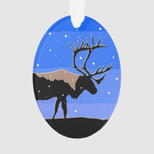 Karibik im Winter - Original Wildlife Art Ornament