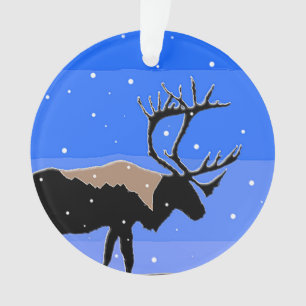 Karibik im Winter - Original Wildlife Art Ornament