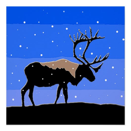 Karibik im Winter - Original Wildlife Art Poster (Vorderseite)