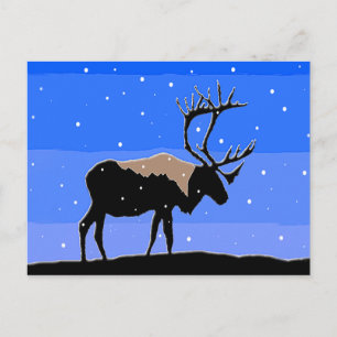 Karibik im Winter - Original Wildlife Art Postkarte