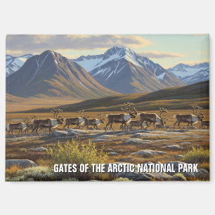 Karibik in den Toren des Arktischen Nationalparks Magnet