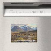 Karibik in den Toren des Arktischen Nationalparks Magnet (In Situ (Geschirrspüler))