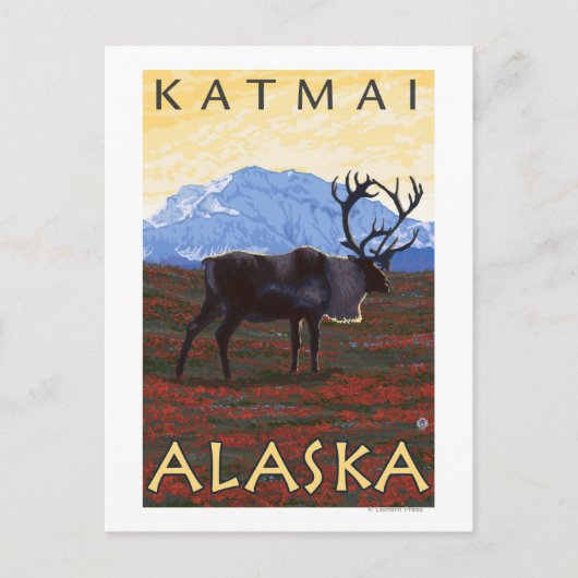 Karibik - Katmai, Alaska Postkarte (Vorderseite)