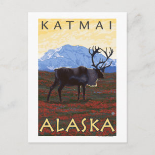 Karibik - Katmai, Alaska Postkarte