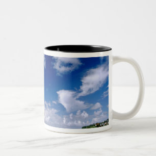 Karibik, Kleinere Antillen, Westindien, 5 Zweifarbige Tasse