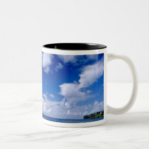 Karibik, Kleinere Antillen, Westindien, Zweifarbige Tasse