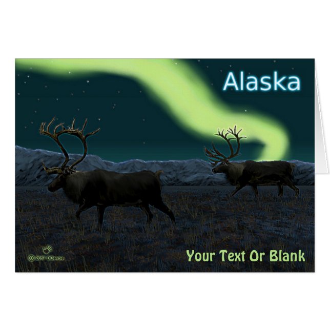 Karibik - Langer März (Vorderseite (Horizontal))