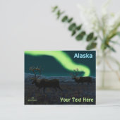 Karibik - Langer März Postkarte (Stehend Vorderseite)