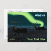 Karibik - Langer März Postkarte (Vorne/Hinten)