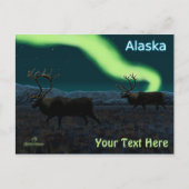 Karibik - Langer März Postkarte (Vorderseite)