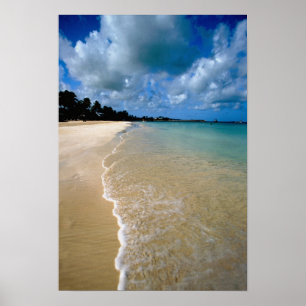 Karibik, Leeward-Inseln, Antigua, Dickenson Poster