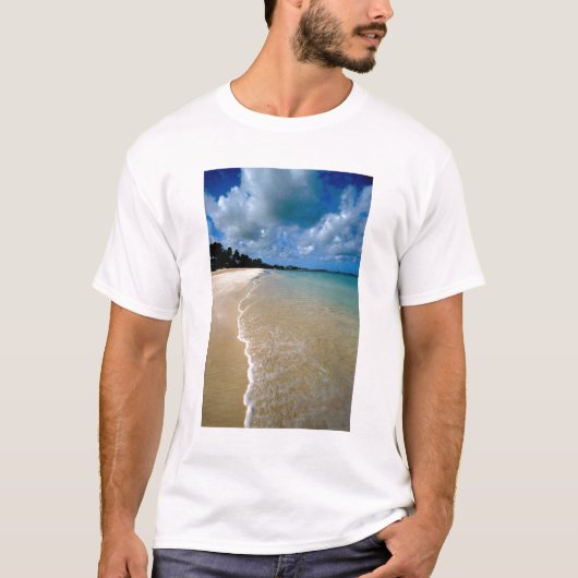 Karibik, Leeward Islands, Antigua, Dickenson T-Shirt (Vorderseite)