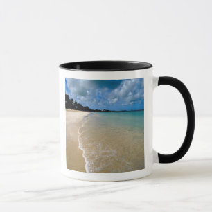 Karibik, Leeward Islands, Antigua, Dickenson Tasse