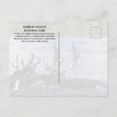 Karibik, Migrieren über den Kobuk River, Alaska Postkarte (Rückseite)