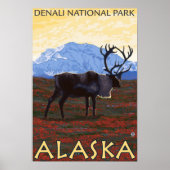 Karibik - Nationalpark Denali, Alaska Poster (Vorne)