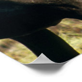 Karibik Poster (Ecke)