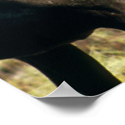 Karibik Poster (Ecke)