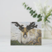 Karibik Postkarte (Stehend Vorderseite)