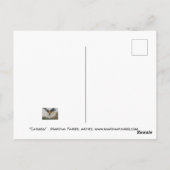 Karibik Postkarte (Rückseite)