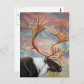 Karibik Postkarte (Vorne/Hinten)