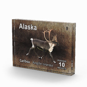 Karibik (Reindeer) - Alaska Postage Fotoblock