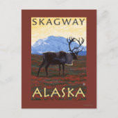 Karibik - Skagway, Alaska Postkarte (Vorderseite)