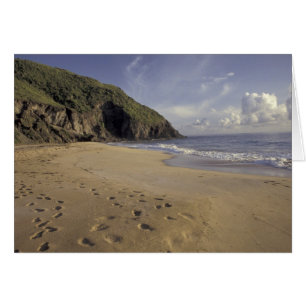 Karibik, St. Kitts. Fußspuren am Atlantik